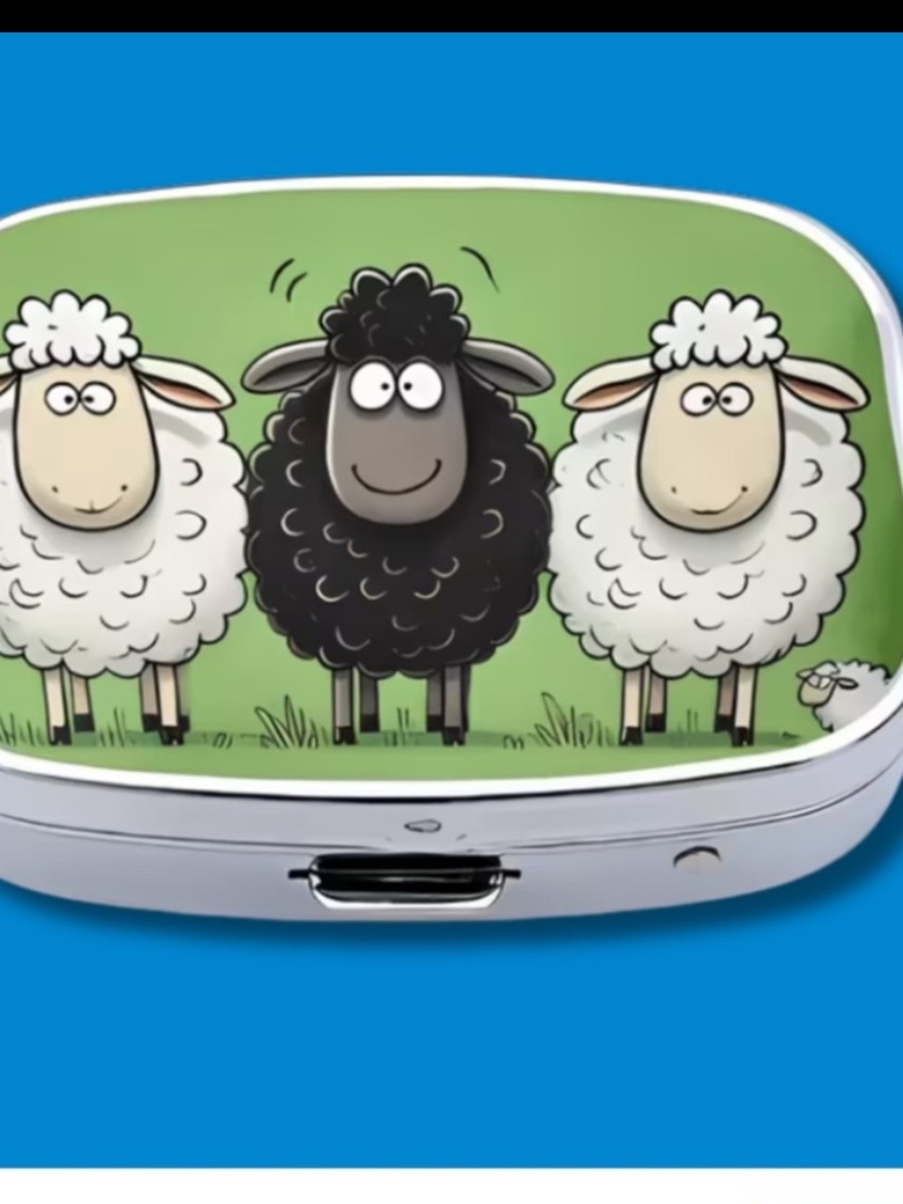 NWOT! Black Sheep Rectangular Pill Box. Medicine Holder.